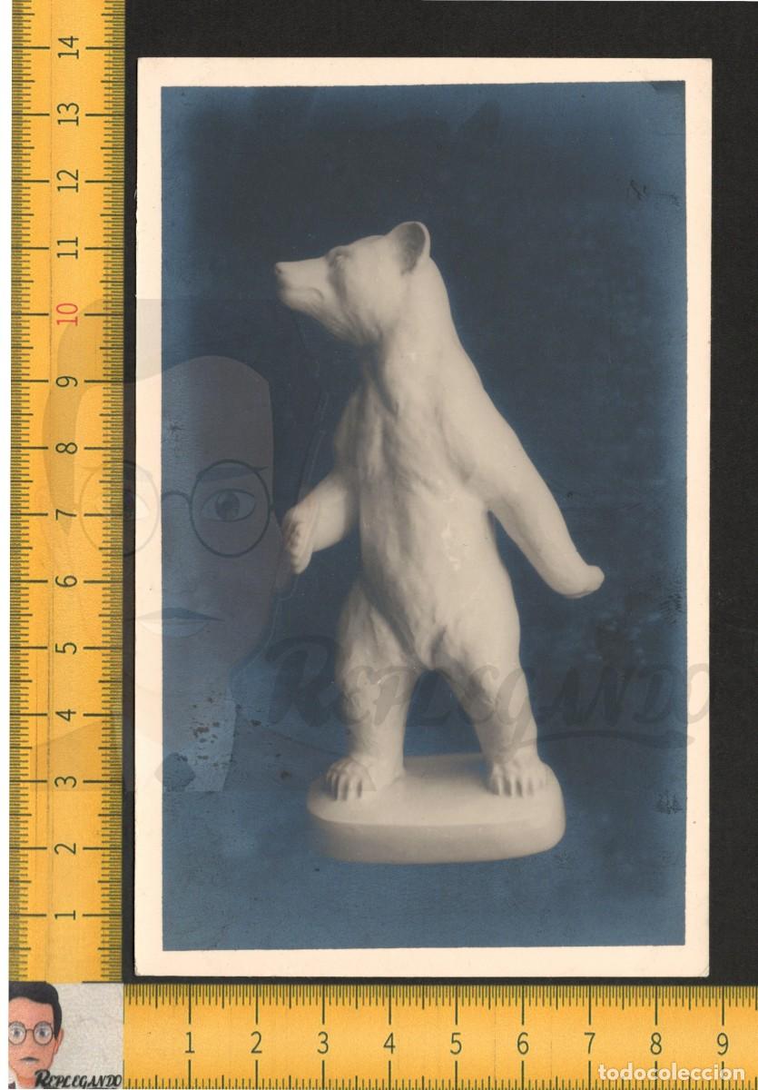 Photographie ancienne: VISTA FIGURA DE OSO POLAR EN PORCELANA - FOTO ANTIGUA ESTUDIO A&Ntilde;OS 50/60 - DECORACI&Oacute;N CL&Aacute;SICA
