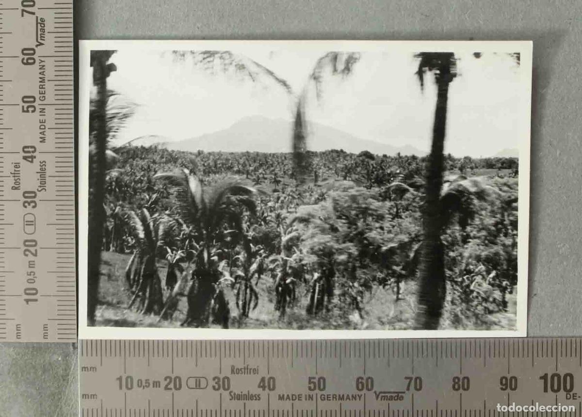 Alte Fotografie: FOTOGRAFIA. MONTE MAYON. FILIPINAS. HACIA 1940