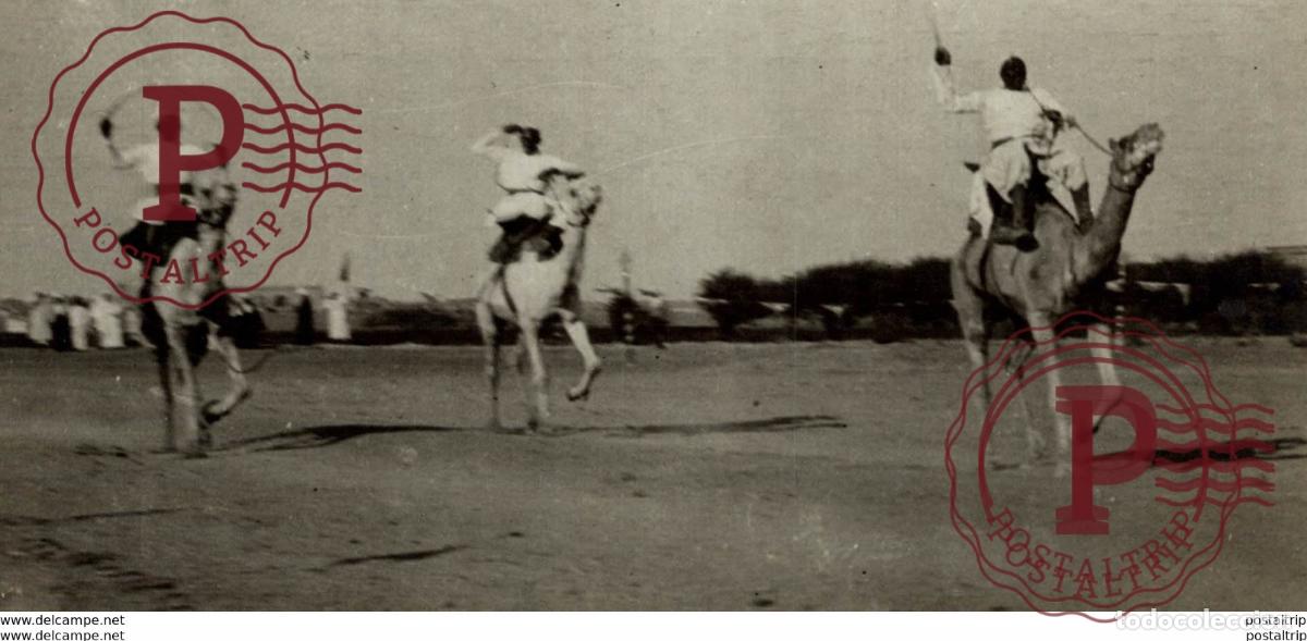 Fotografia antiga: CAMEL RACE IN LONDON ENGLAND 16 *8CM Fonds Victor FORBIN 1864-1947
