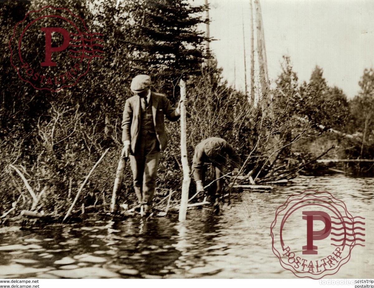 Antique Photography: CASTORS OTTERS 21 *16CM Fonds Victor FORBIN 1864-1947