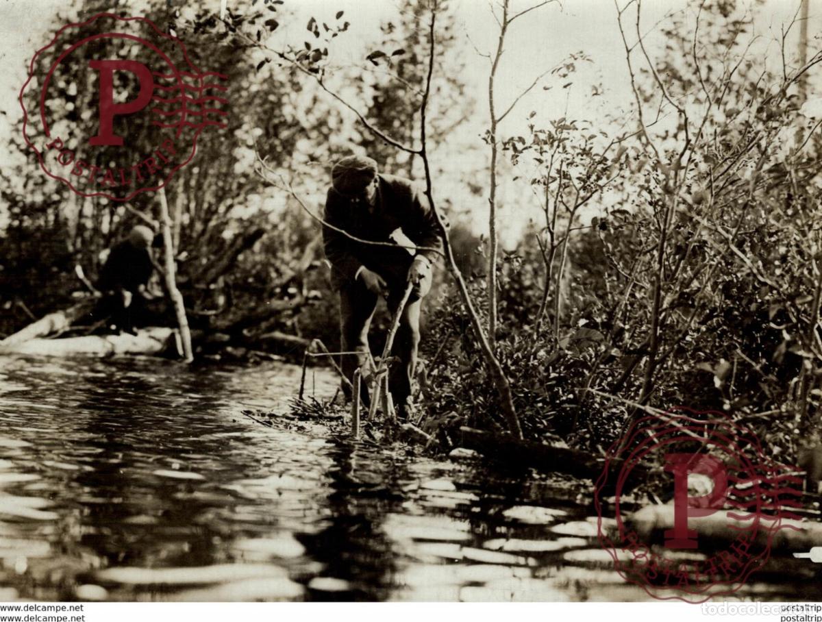 Antique Photography: CHASSE A LA POUTRE BEAVER CASTOR 21 *16CM Fonds Victor FORBIN 1864-1947