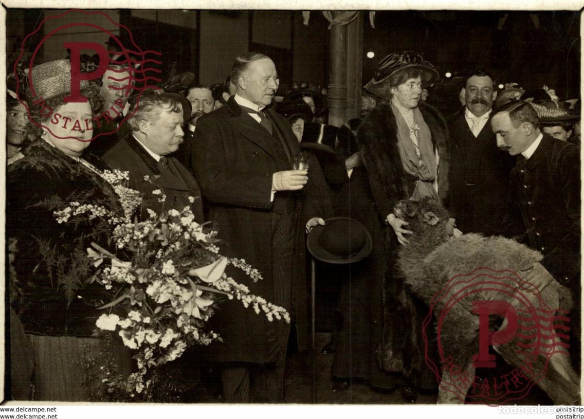 Antique Photography: BABY CAMEL CAMELLOS CHAMEAUX DROMADAIRE KAMEEL DROMEDARIS 16*12CM Fonds Victor FORBIN 1864-1947