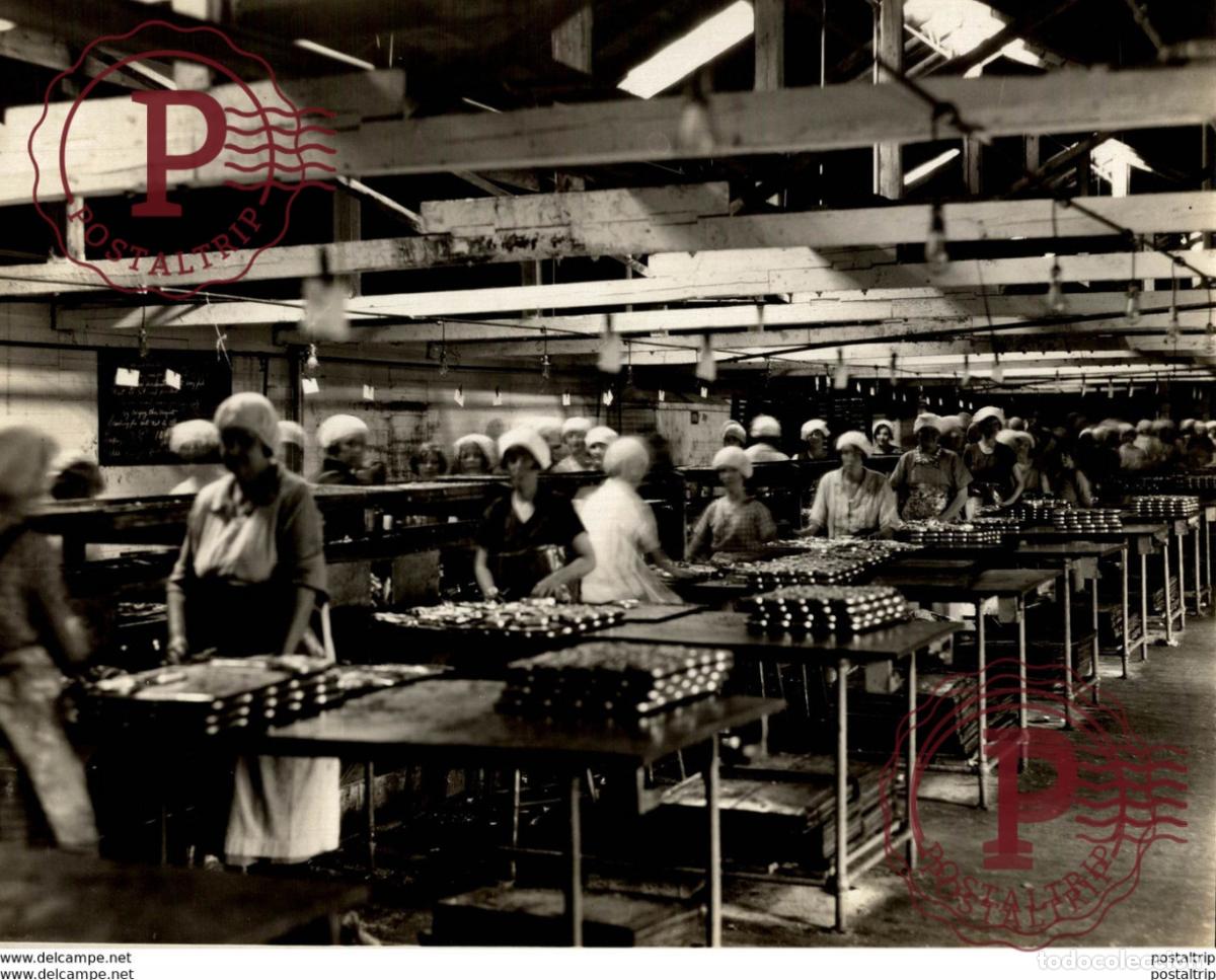 Fotograf&iacute;a antigua: FISHERY MISE EN BO&Icirc;TE DE SARDINES CANADA SARDINE INDUSTRY BLACK HARBOUR CHEMIN DE F24*18CM Fonds Vic