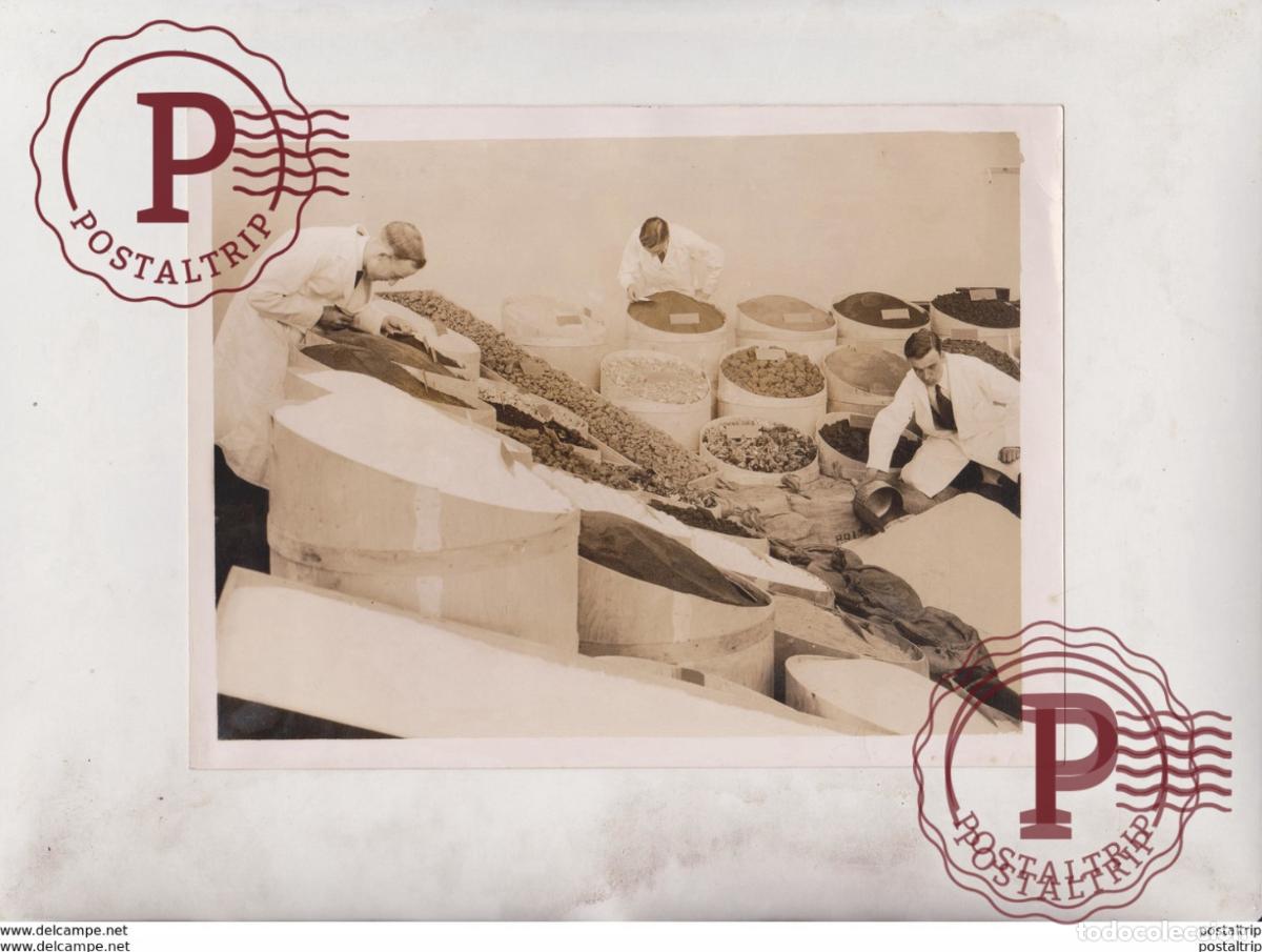 Alte Fotografie: WONDERS FROM COAL BECKTON CHEMISTS DISINFECTANTS DYESTUFF MINERS MINING MINES MINA 20*15CM Fonds Vic