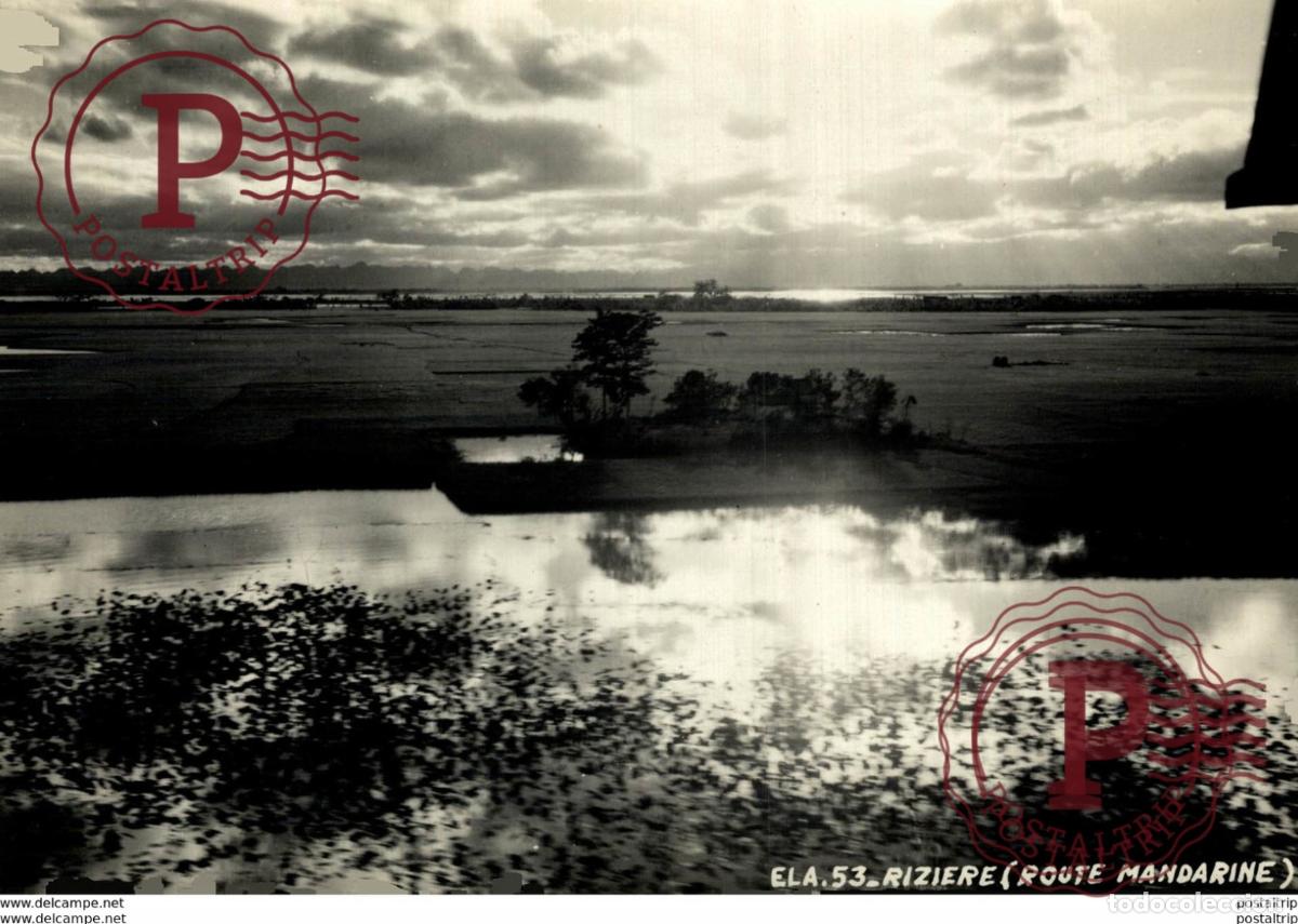 Fotograf&iacute;a antigua: ELA INDO CHINE ROUTE MANDARINE RIZIERE 16*12CM