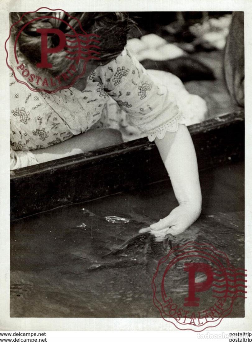 Fotografia antiga: FEEDING FISHES 22*16CM Fonds Victor FORBIN 1864-1947
