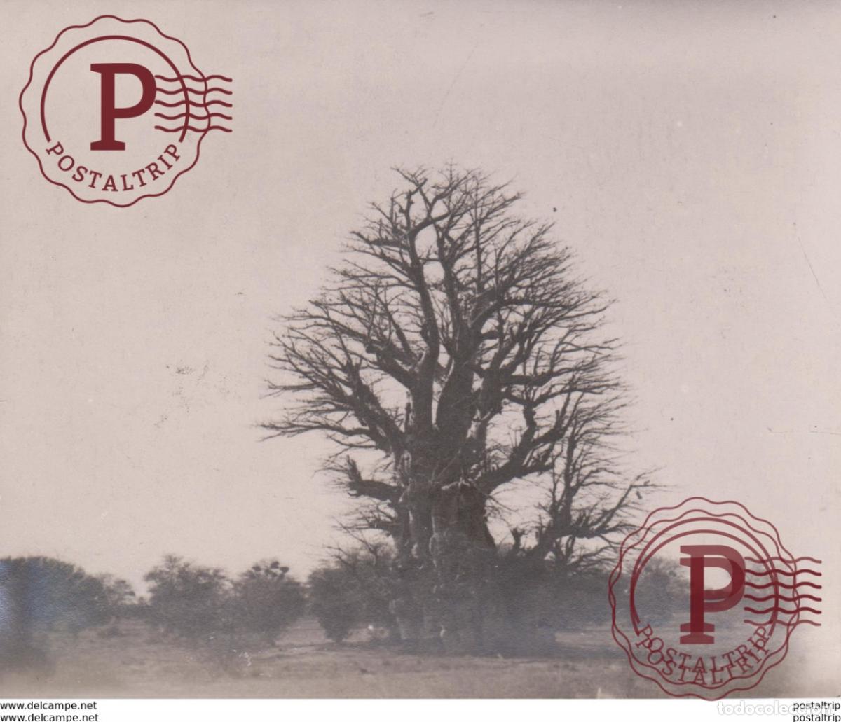 Photographie ancienne: 14*12CM Fonds Victor FORBIN 1864-1947