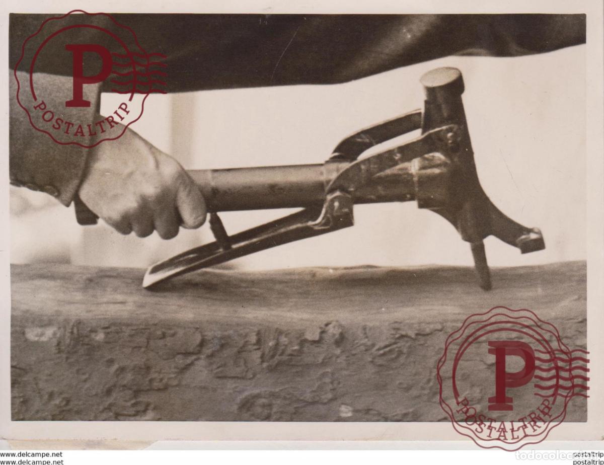 Photographie ancienne: DOPING TELEGRAPH POLES 17*12CM Fonds Victor FORBIN 1864-1947