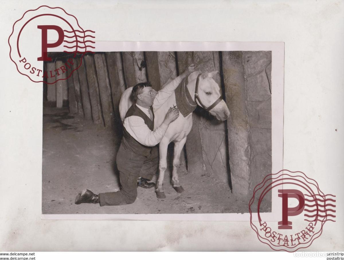 Antique Photography: PIT PONY MINING ELECTRIC LOCOMOTIVE FOR REPLACING PIT PONIES INJURED PONY FIRST 20*15CM Fonds Vict
