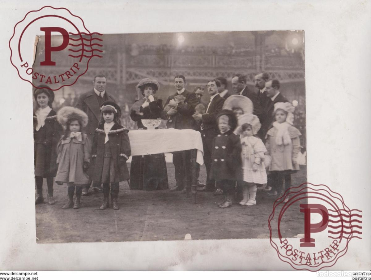 Photographie ancienne: BABY LION CLUBS CHRISTENED OLYMPIA AFRICAN LION MAMMOTH FUN CITY EDNA MAY 21*16CM Fonds Victor FOR