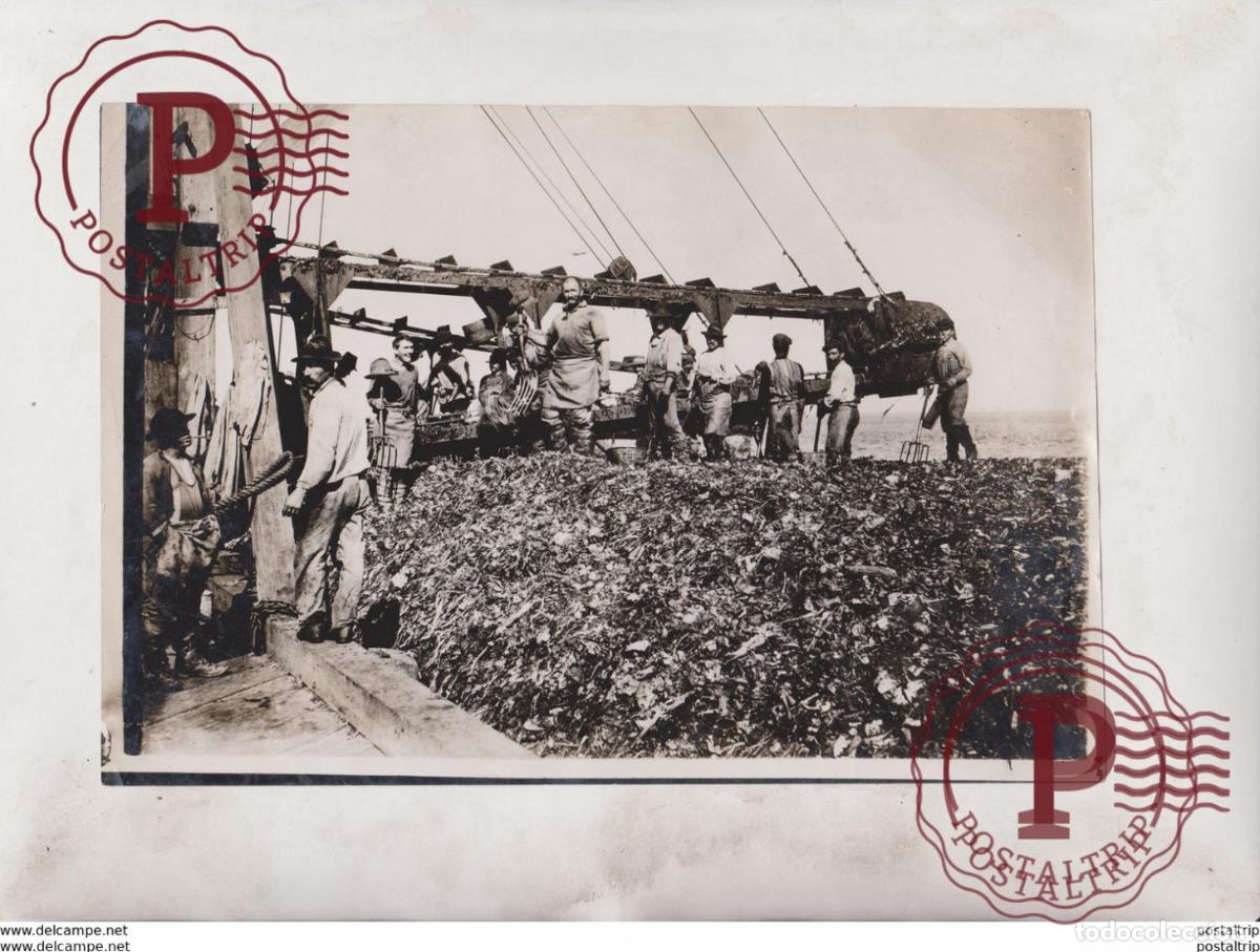 Fotografia antiga: 21*16CM Fonds Victor FORBIN 1864-1947