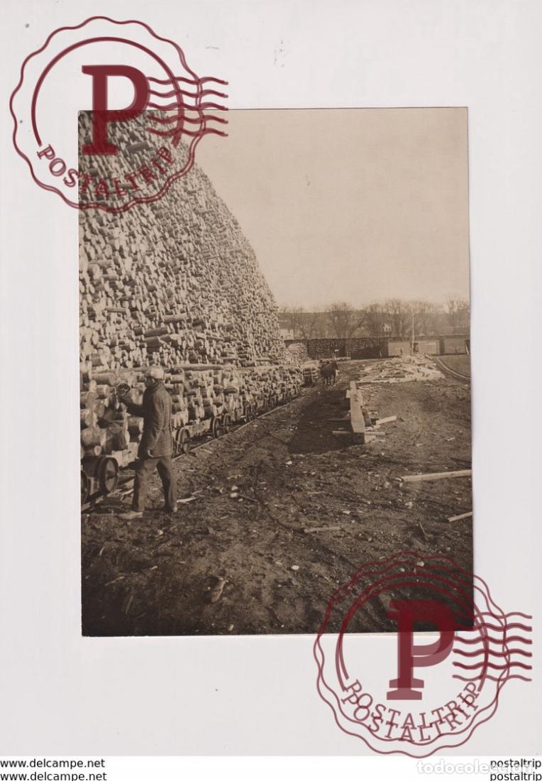 Fotograf&iacute;a antigua: PAPER INDUSTRY BANGOR MAINE EASTERN MANUFACTURING forest, xylology, forestry 20*15CM Fonds Victor F
