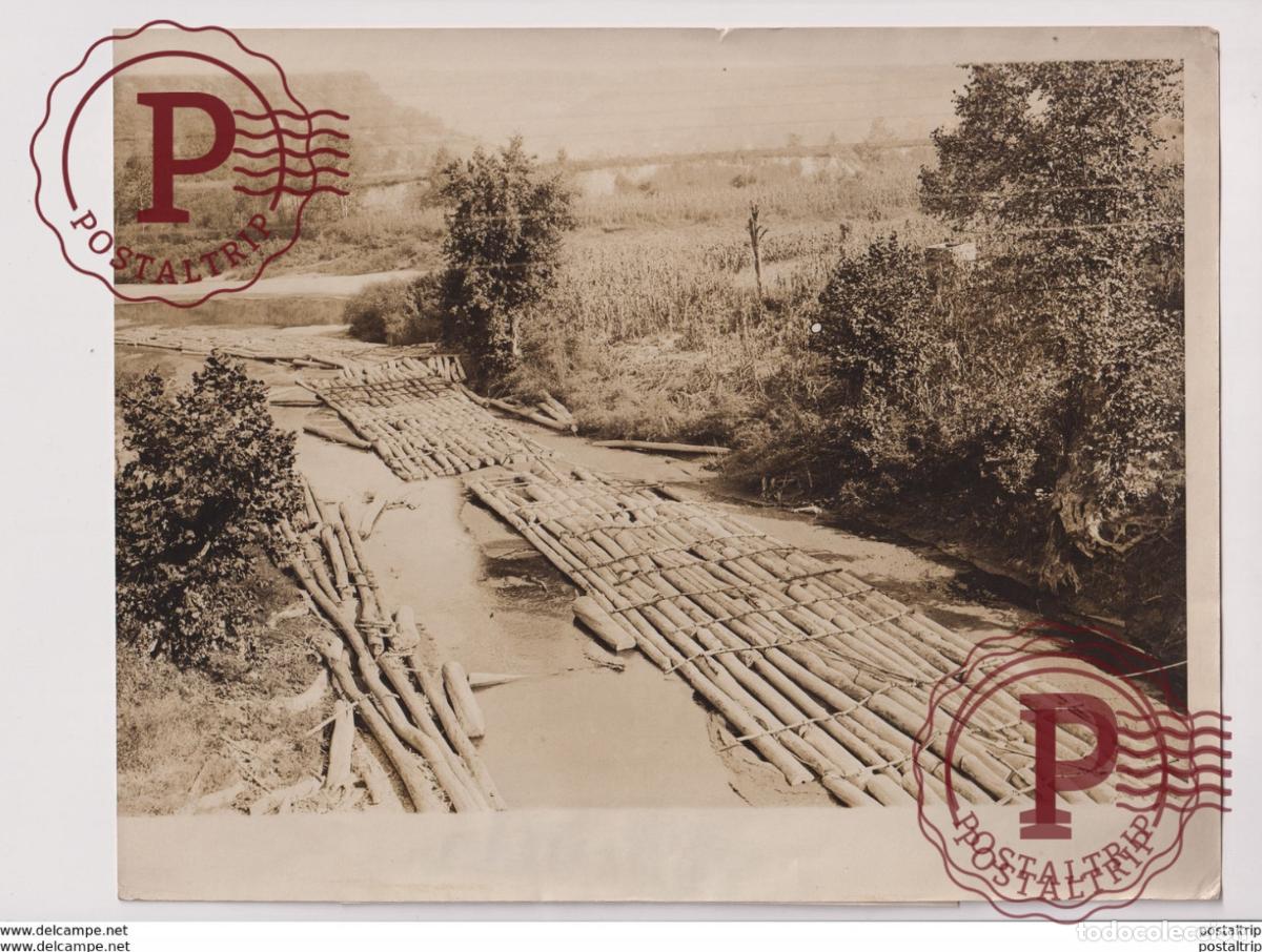 Fotograf&iacute;a antigua: BEAVER CREEK KENTUCKY MOUNTAINS USA forest, xylology, forestry 25*20CM Fonds Victor FORBIN 1864-194