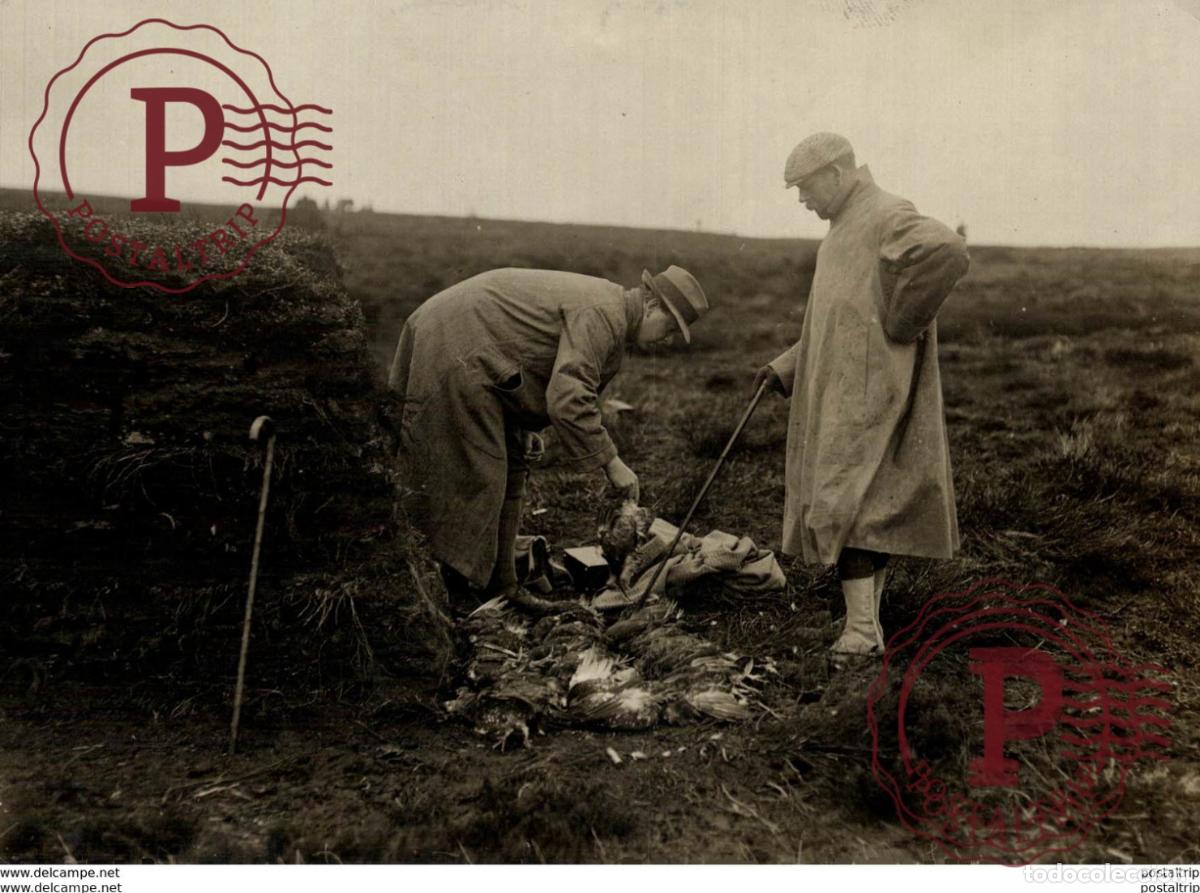 Fotograf&iacute;a antigua: CHASSE HUNTING CAZA JACHT 15*11CM Fonds Victor FORBIN 1864-1947