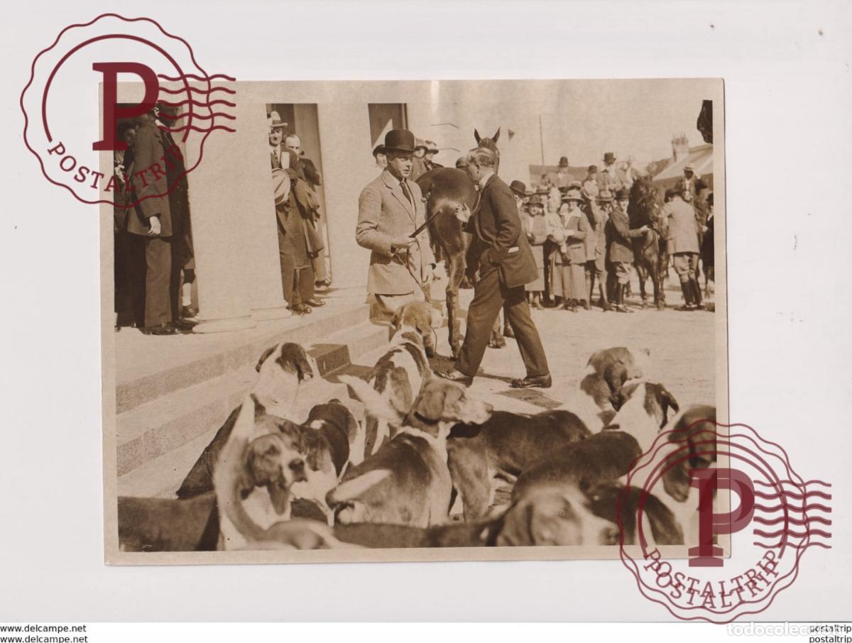 Fotograf&iacute;a antigua: PRINCE OF WALES IN DEVONSHIRE LAMERTON FOXHOUND CHASSE HUNTING CAZA JACHT 21*16CM Fonds Victor FOR