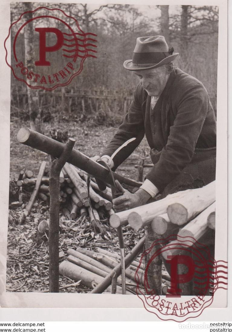 Fotograf&iacute;a antigua: RUSTIC INDUSTRY CHESTNUT PALING SUSSEX WOODS 16*12CM Fonds Victor FORBIN 1864-1947
