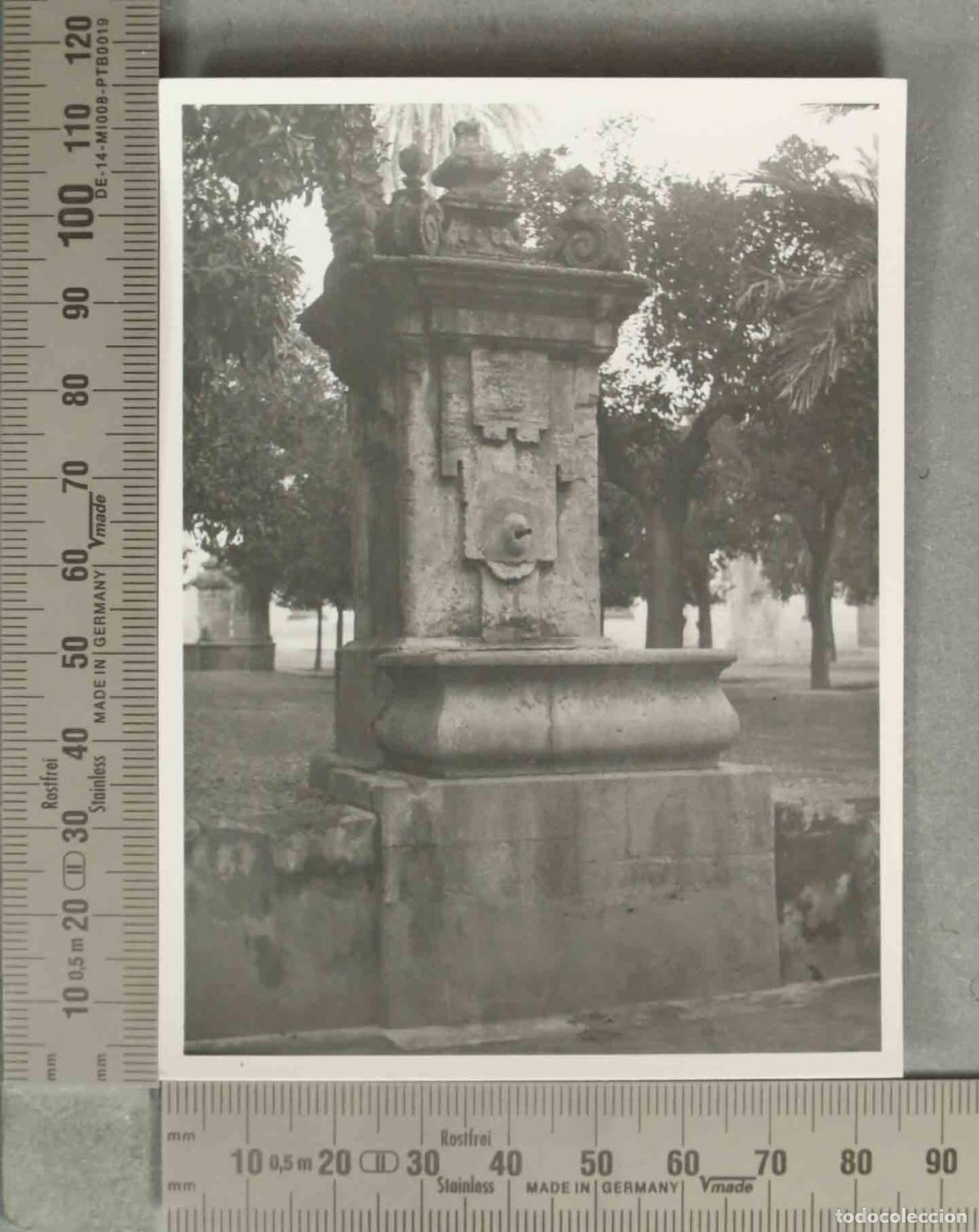Fotograf&iacute;a antigua: FOTOGRAFIA. Fuente del Cinamomo CORDOBA HACIA 1940
