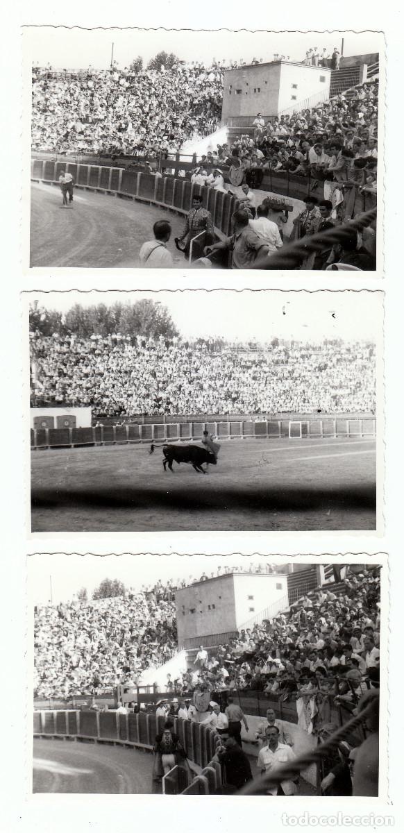 Fotograf&iacute;a antigua: 3 fotos. Corrida. Torero. Plaza de Toros. A&ntilde;os 50 pc