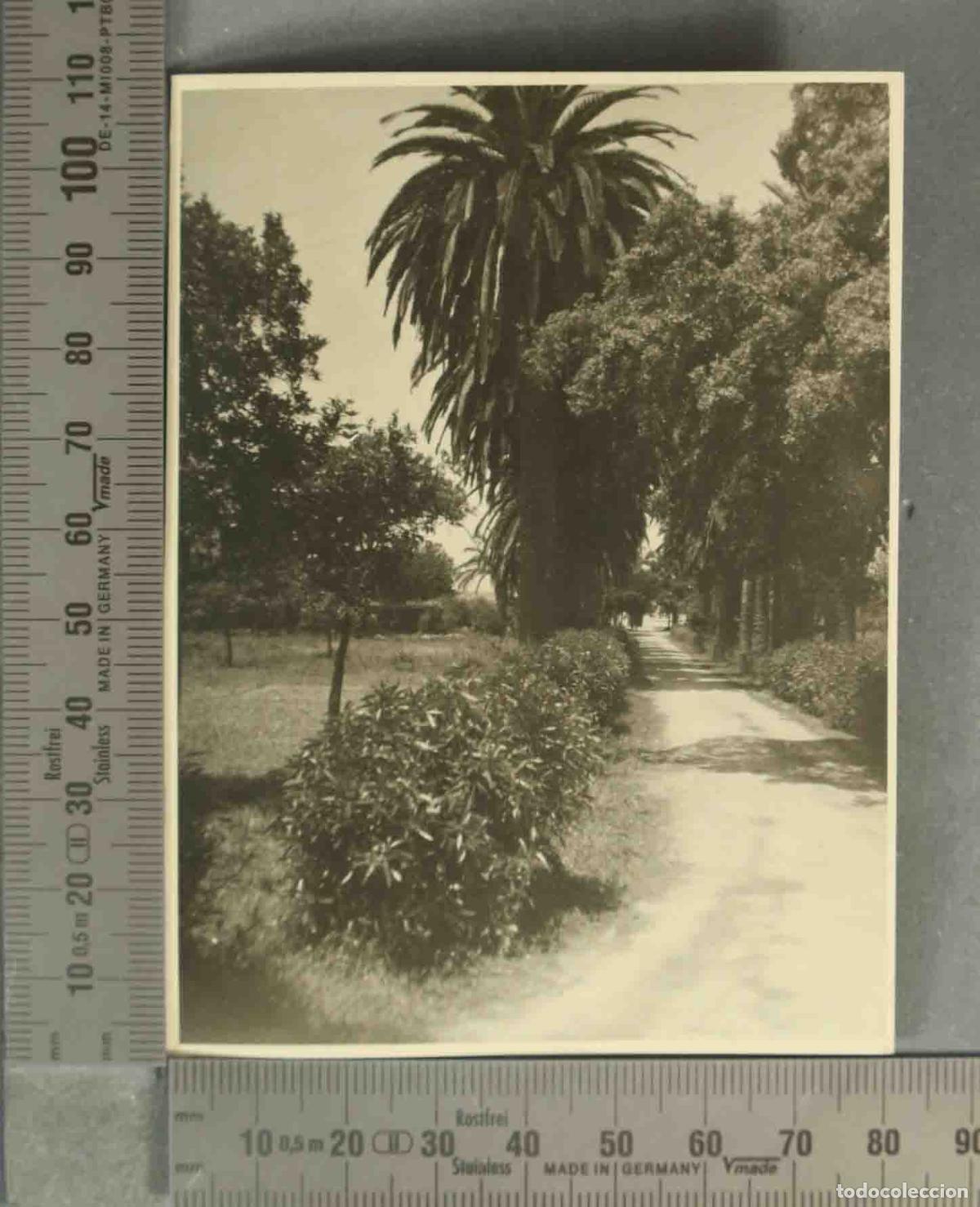Fotograf&iacute;a antigua: FOTOGRAFIA. JARDIN JEREZ DE LA FRONTERA HACIA 1940