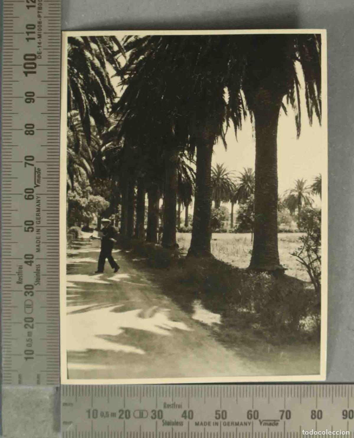 Fotografia antiga: FOTOGRAFIA. JARDIN JEREZ DE LA FRONTERA HACIA 1940