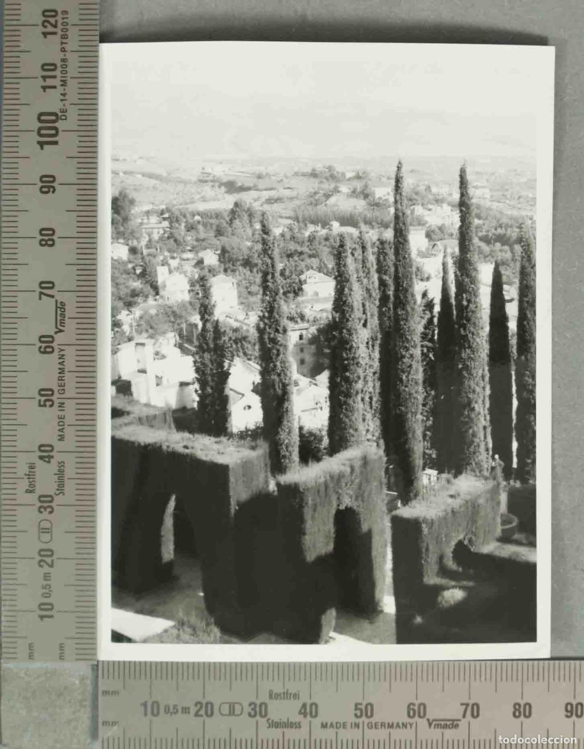 Alte Fotografie: FOTOGRAFIA. Granada - Generalife - Paseo de los Cipreses HACIA 1940