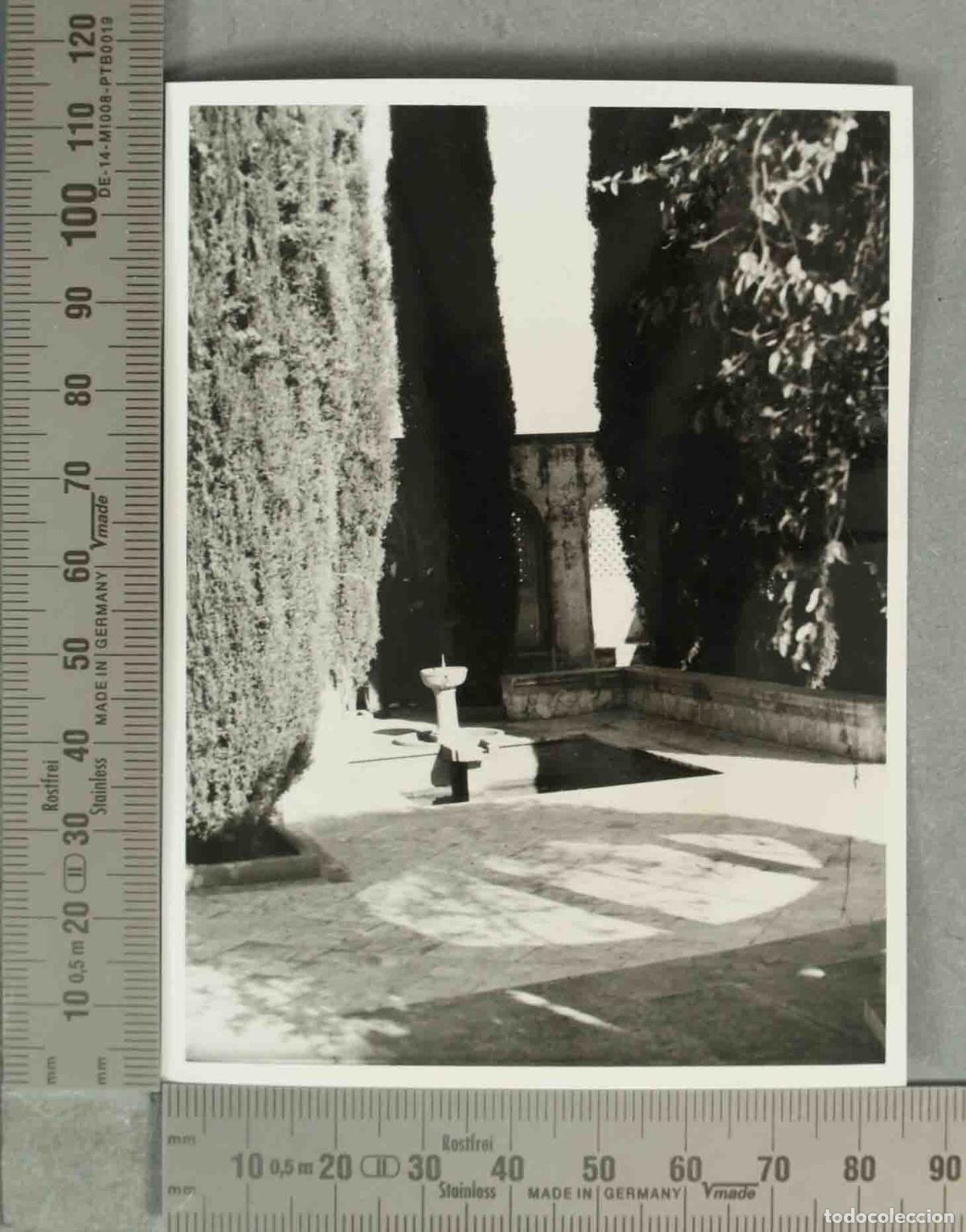Alte Fotografie: FOTOGRAFIA. JARDIN GRANDA HACIA 1940