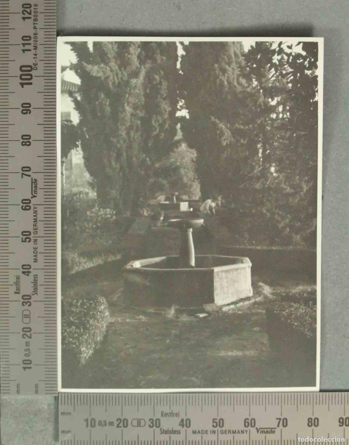 Fotografia antica: FOTOGRAFIA. JARDIN FUENTE. DIZNAR HACIA 1940