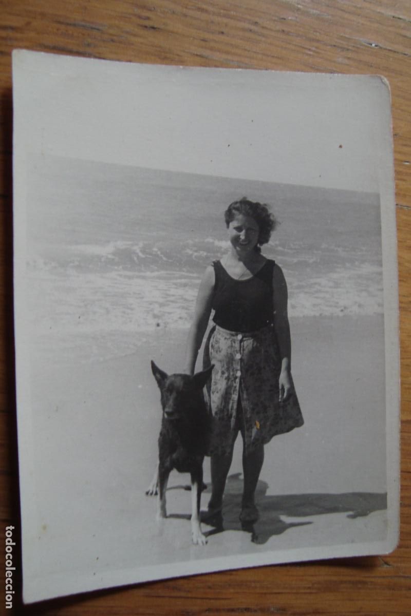 Antique Photography: ANTIGUA FOTOGRAFIA DE CHICA EN LA PLAYA CON PERRO. FOTO GABELLA SEVILLA 1948.
