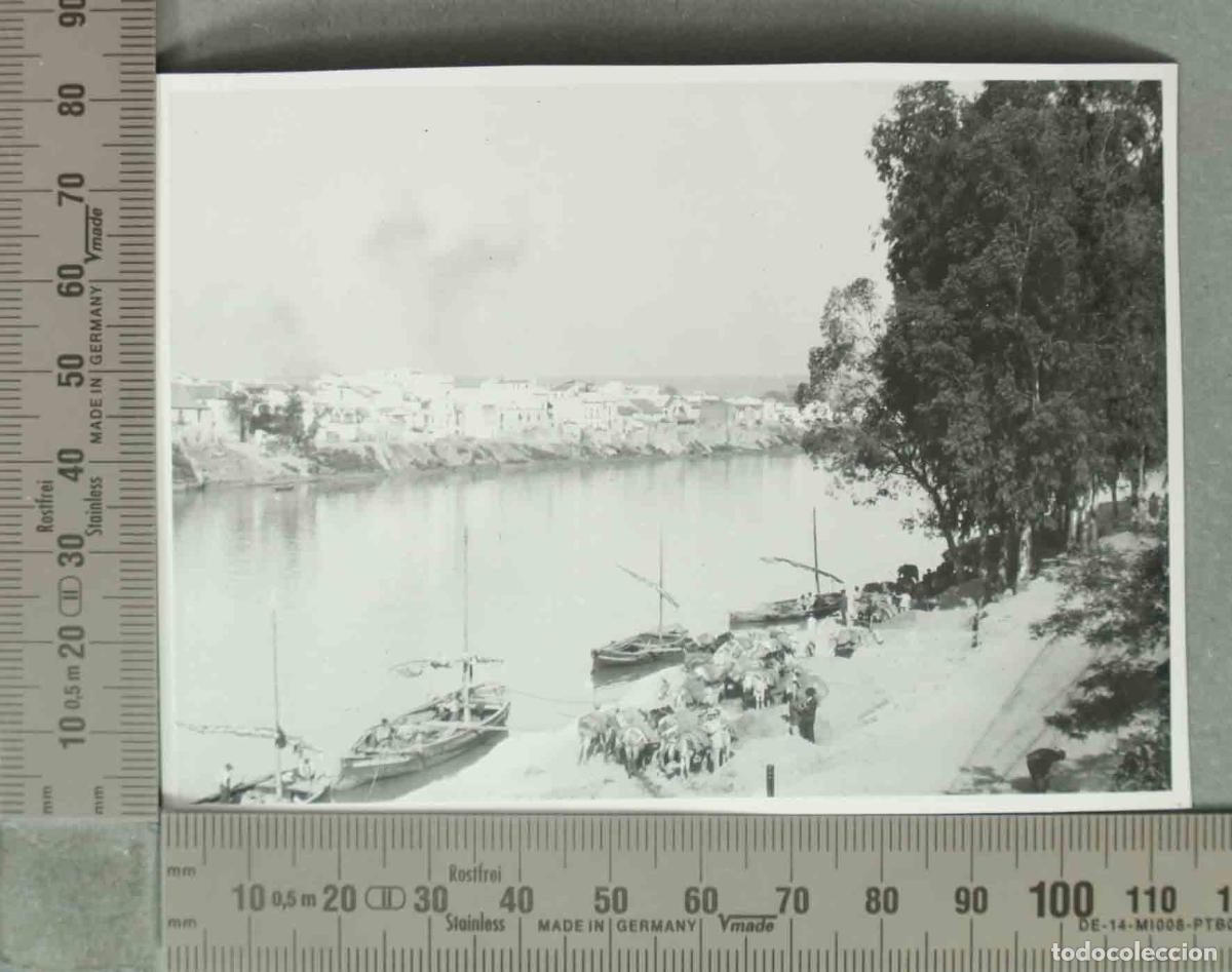 Photographie ancienne: FOTOGRAFIA. VISTA SEVILLA. EMBARCACIONES Y GANADO HACIA 1940