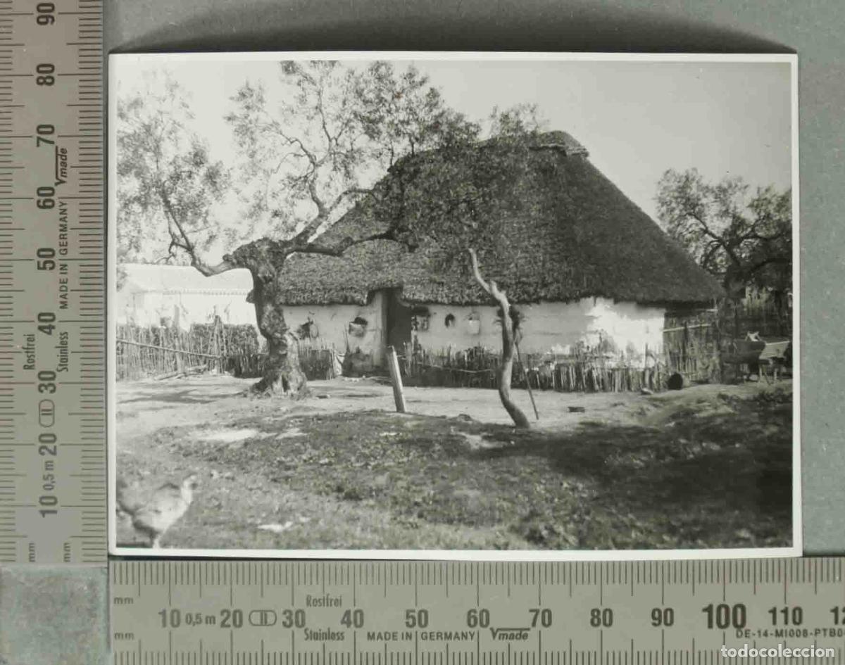 Photographie ancienne: FOTOGRAFIA. CHOZA MIXTA ANDALUZ SEVILLA