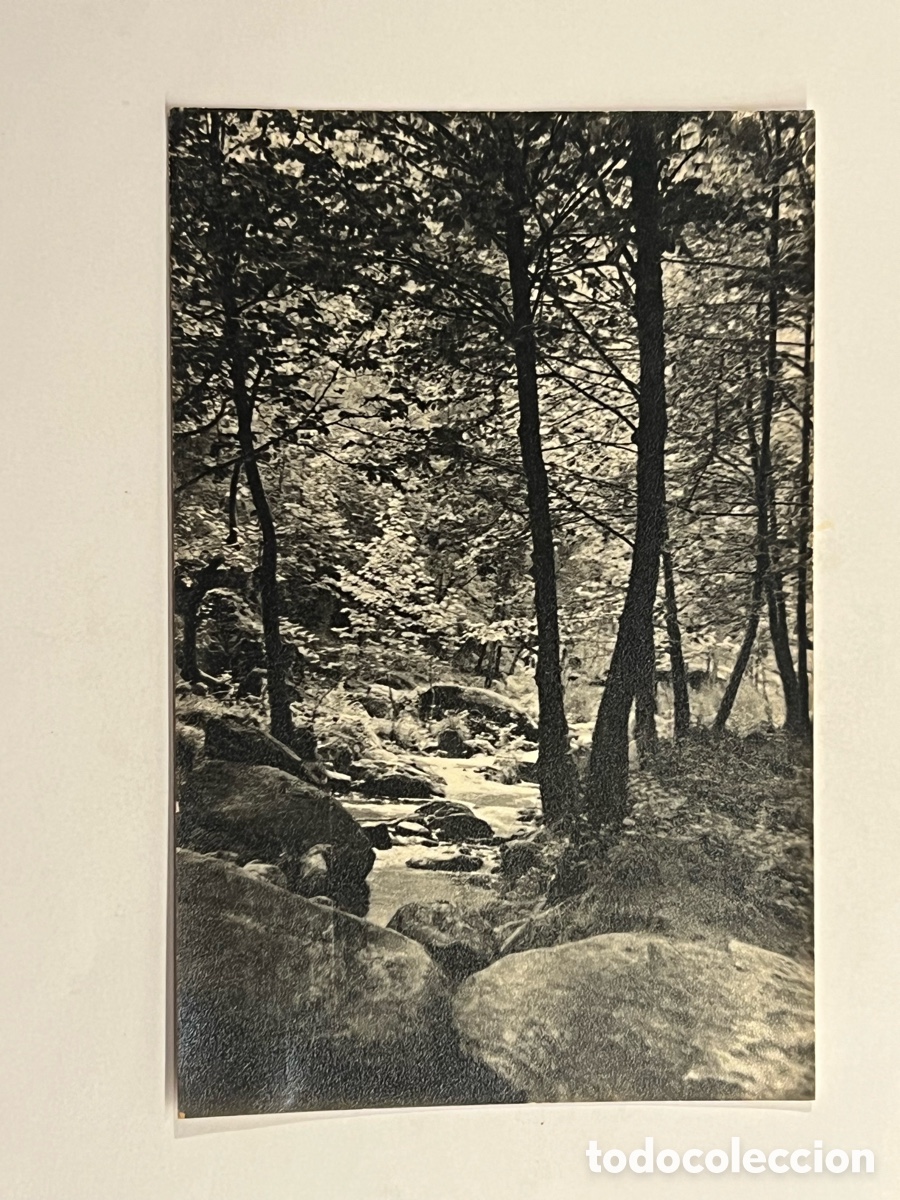 Fotograf&iacute;a antigua: SANT MIQUEL DEL FAY, Barcelona. Fotograf&iacute;a Ruta Riells del Fay&hellip;, Mayo de 1959