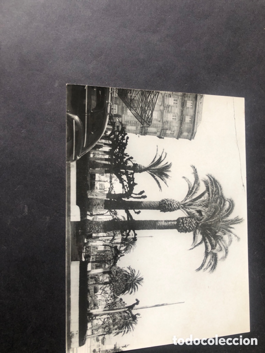 Fotograf&iacute;a antigua: Antigua foto jardines Hotel UNIVERSAL VIGO