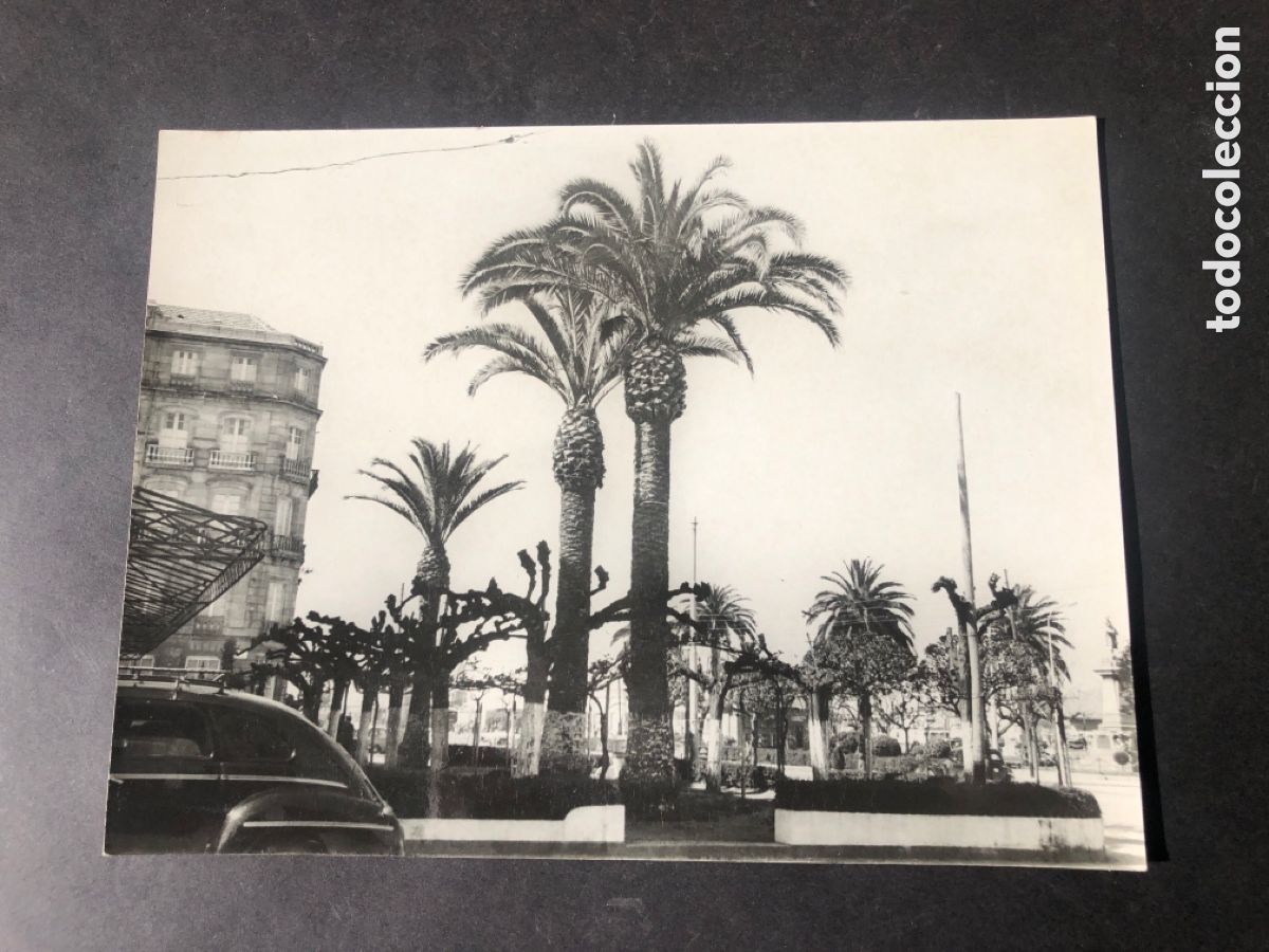 Fotografia antica: Antigua foto jardines Hotel UNIVERSAL VIGO