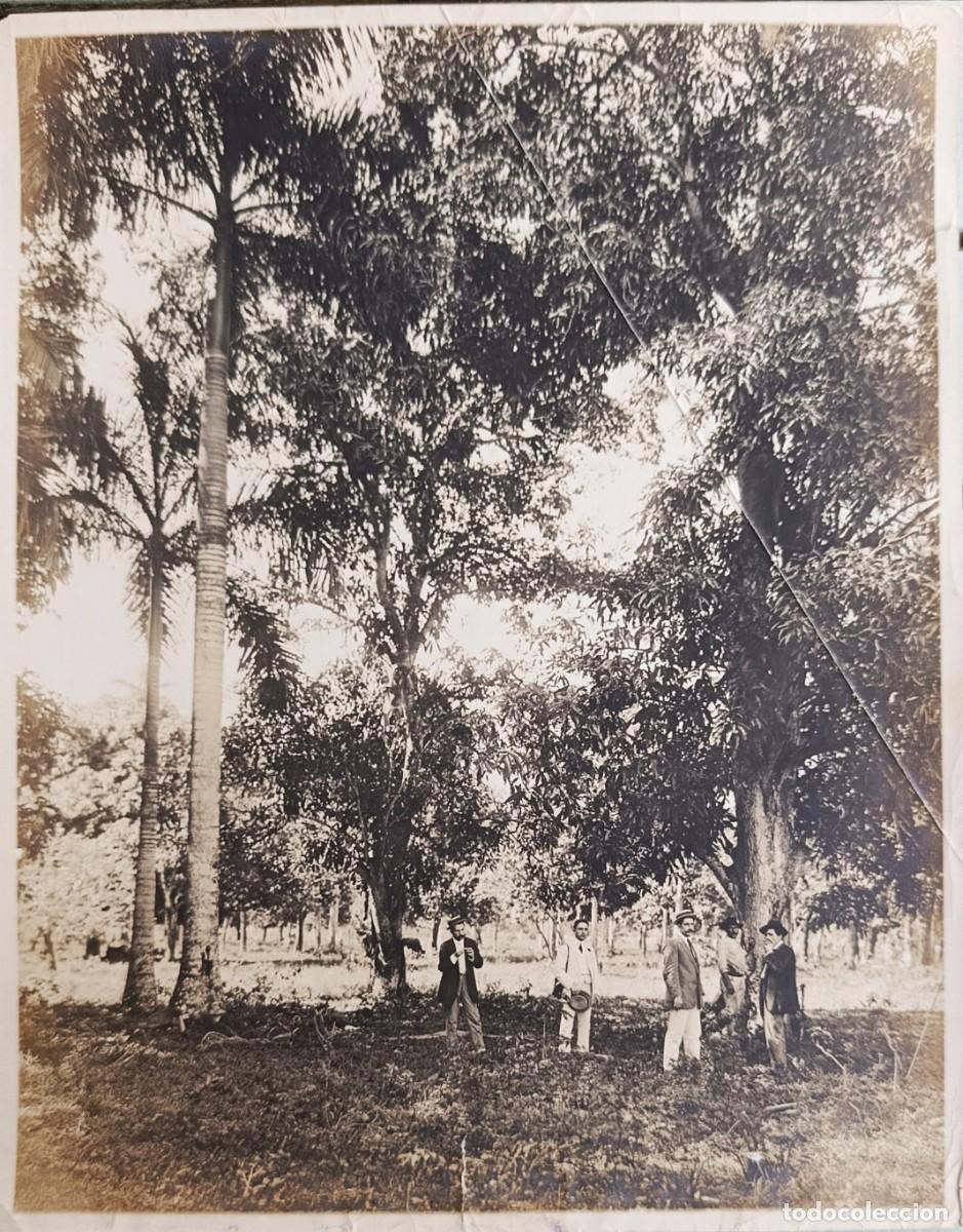 Fotograf&iacute;a antigua: FOTO ORIGINAL. CUBA. A&Ntilde;OS 20. POSIBLEMENTE GUANT&Aacute;NAMO.