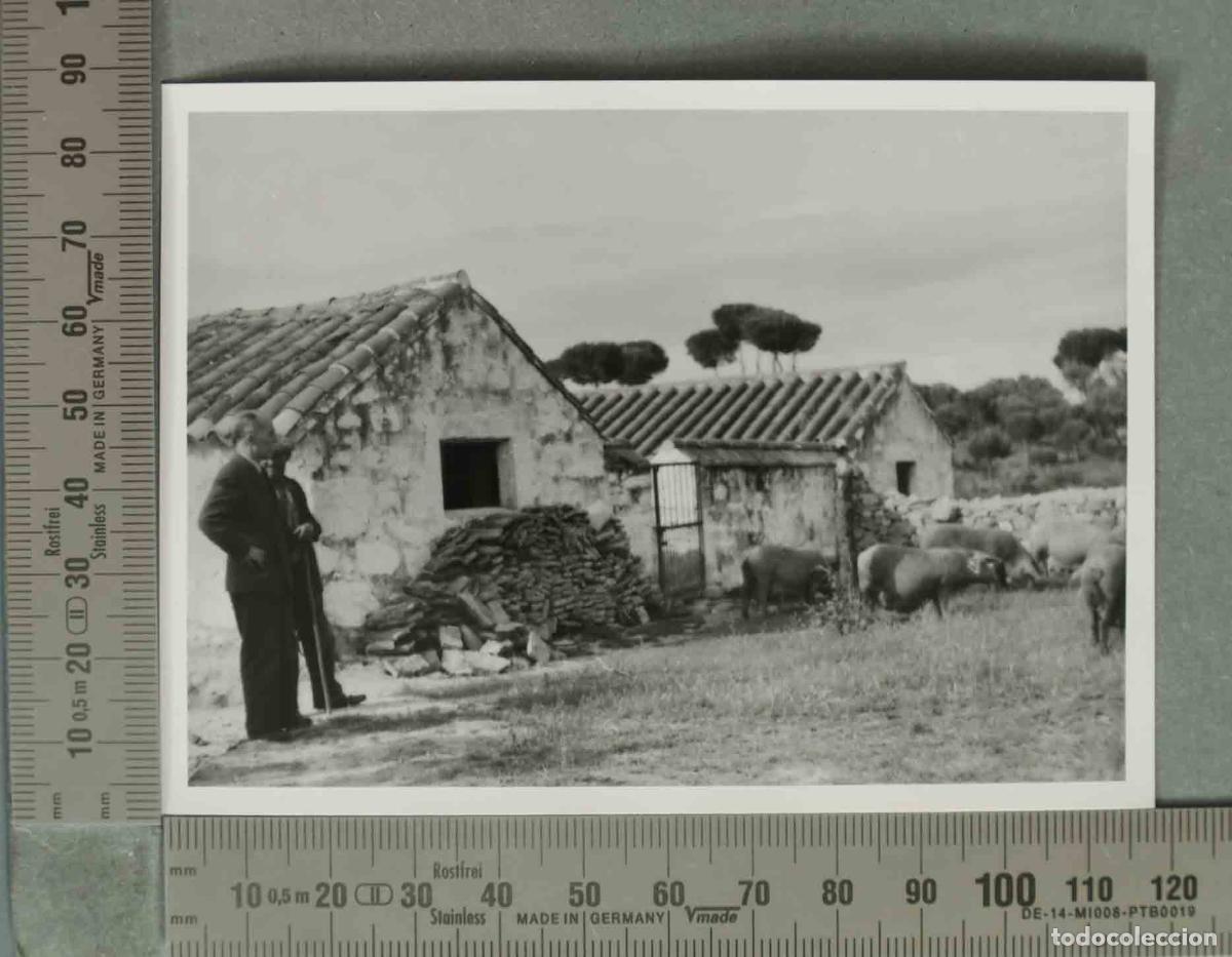 Fotograf&iacute;a antigua: FOTOGRAFIA. VISTA DE GRANJA CERDOS. EL YEG&Uuml;ERIZO. HACIA 1940
