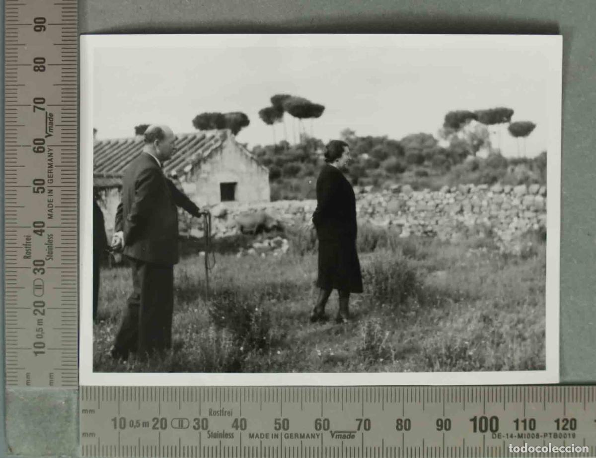 Fotograf&iacute;a antigua: FOTOGRAFIA. VISTA DE GRANJA CERDOS. EL YEG&Uuml;ERIZO. HACIA 1940