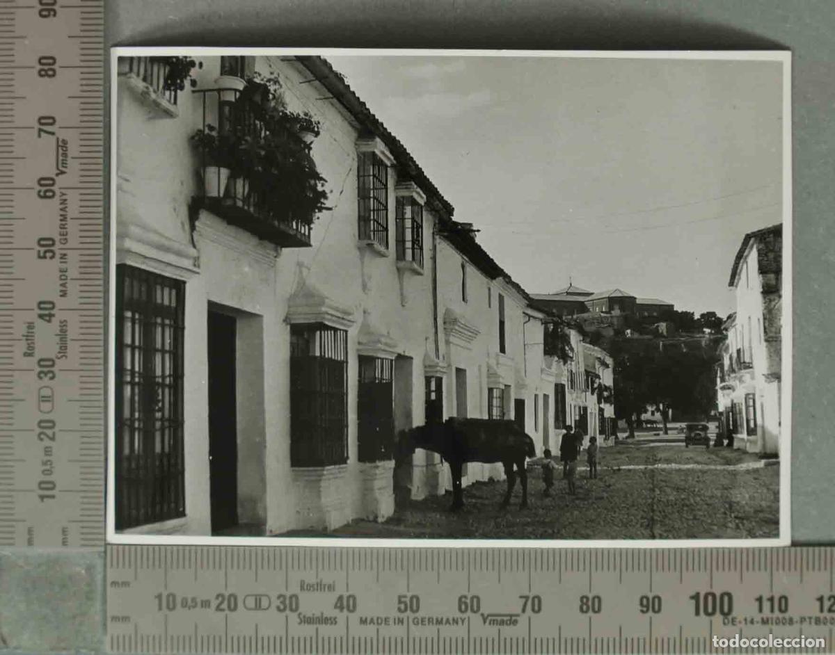 Fotograf&iacute;a antigua: FOTOGRAFIA. VISTA CALLE CON BURRO. RONDA HACIA 1940