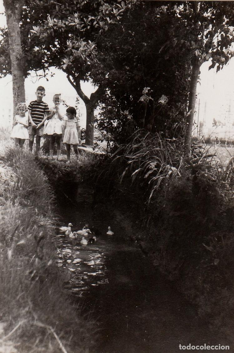 Fotograf&iacute;a antigua: Curiosa foto. Ni&ntilde;os mirando a una familia de patos en un rio. A&ntilde;os 50 pc
