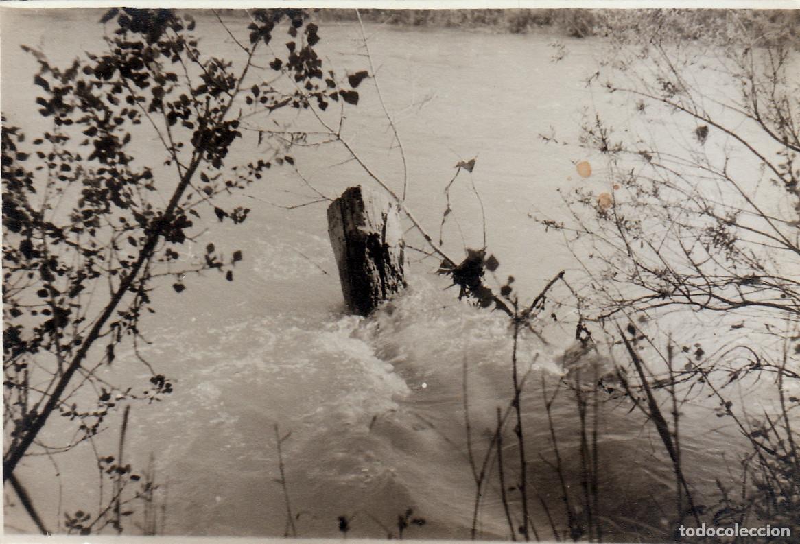 Fotograf&iacute;a antigua: Curiosa foto. Tronco sumergido en un rio. A&ntilde;os 60 pc