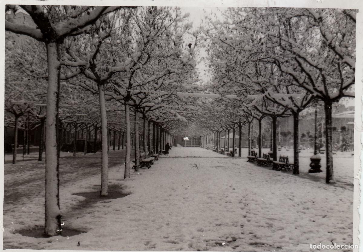 Fotograf&iacute;a antigua: Preciosa foto. Gran nevada. Puigcerd&aacute;, Girona, Parque Municipal. A&ntilde;os 50 pc