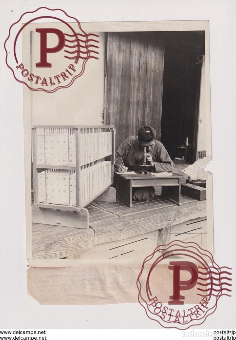 Photographie ancienne: SEE LEFT SIDE SILK INDUSTRY IN JAPAN 21*16CM Fonds Victor FORBIN 1864-1947