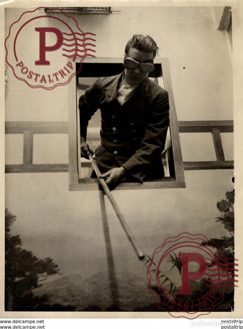 Fotograf&iacute;a antigua: DAILY MIRROR ANIMALS 20*15CM Fonds Victor FORBIN 1864-1947