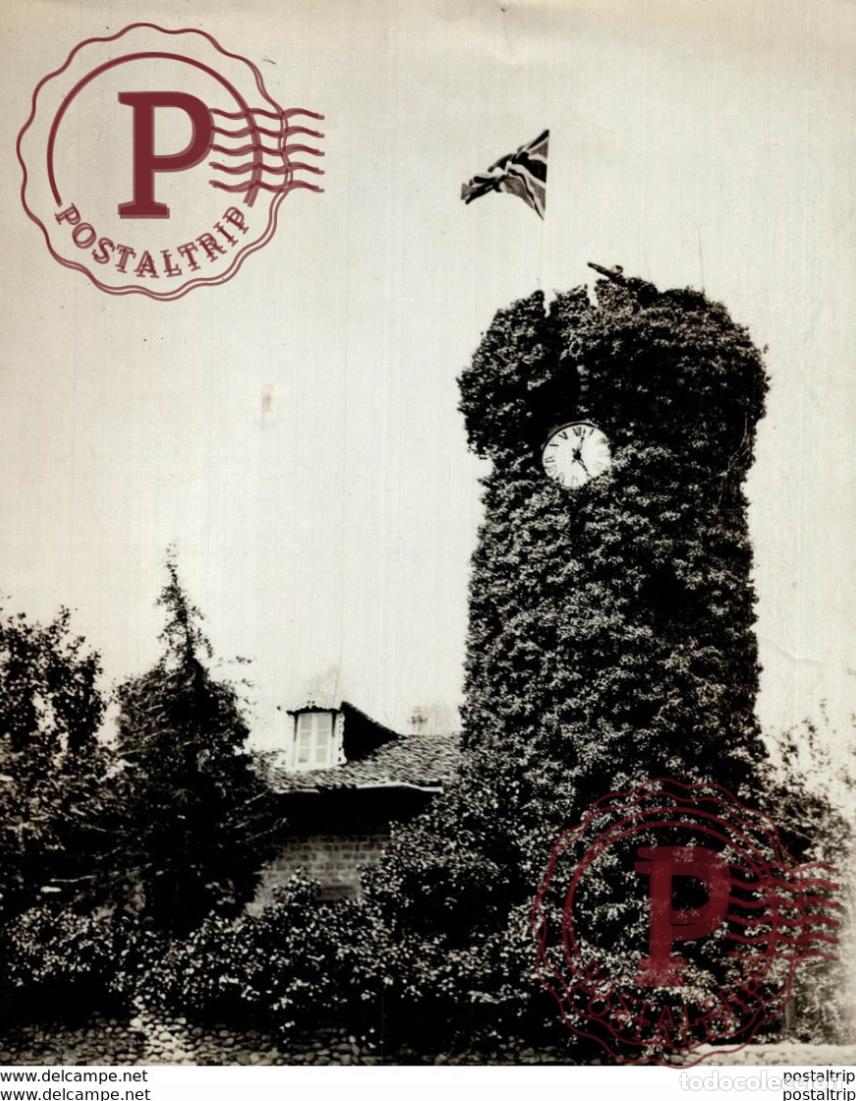 Fotograf&iacute;a antigua: 21*16cm Bot&aacute;nica Botany Botanique Botanik Fonds Victor FORBIN 1864-1947