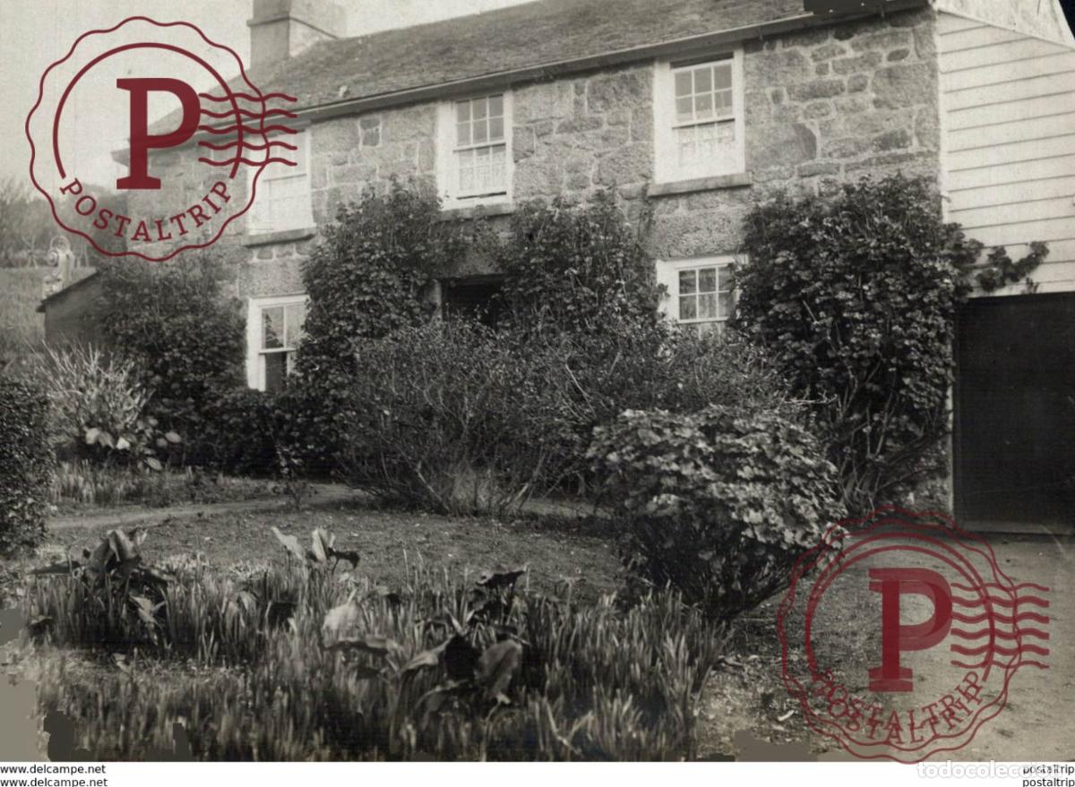 Fotograf&iacute;a antigua: GERANIUMS 15*11cm Bot&aacute;nica Botany Botanique Botanik Fonds Victor FORBIN 1864-1947