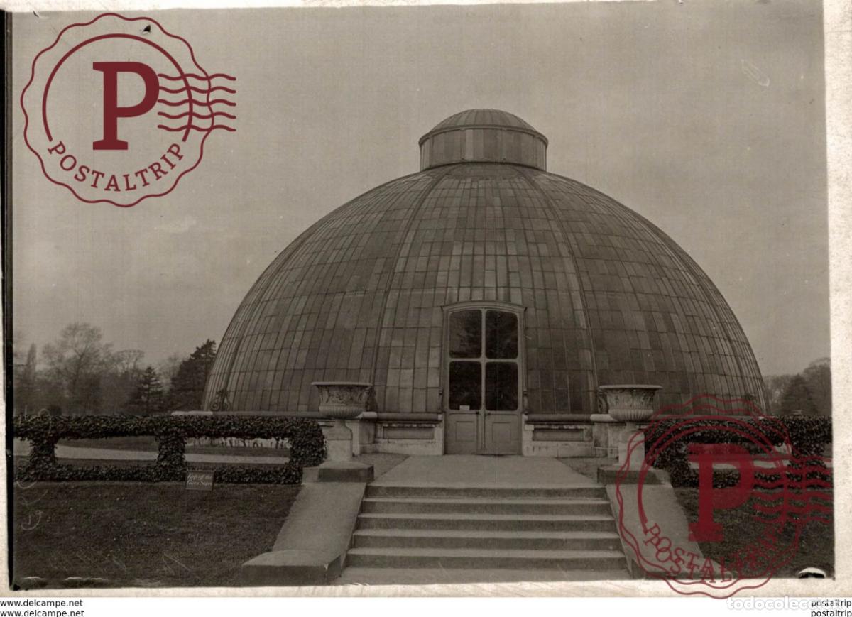 Fotograf&iacute;a antigua: 16*12cm Bot&aacute;nica Botany Botanique Botanik Fonds Victor FORBIN 1864-1947