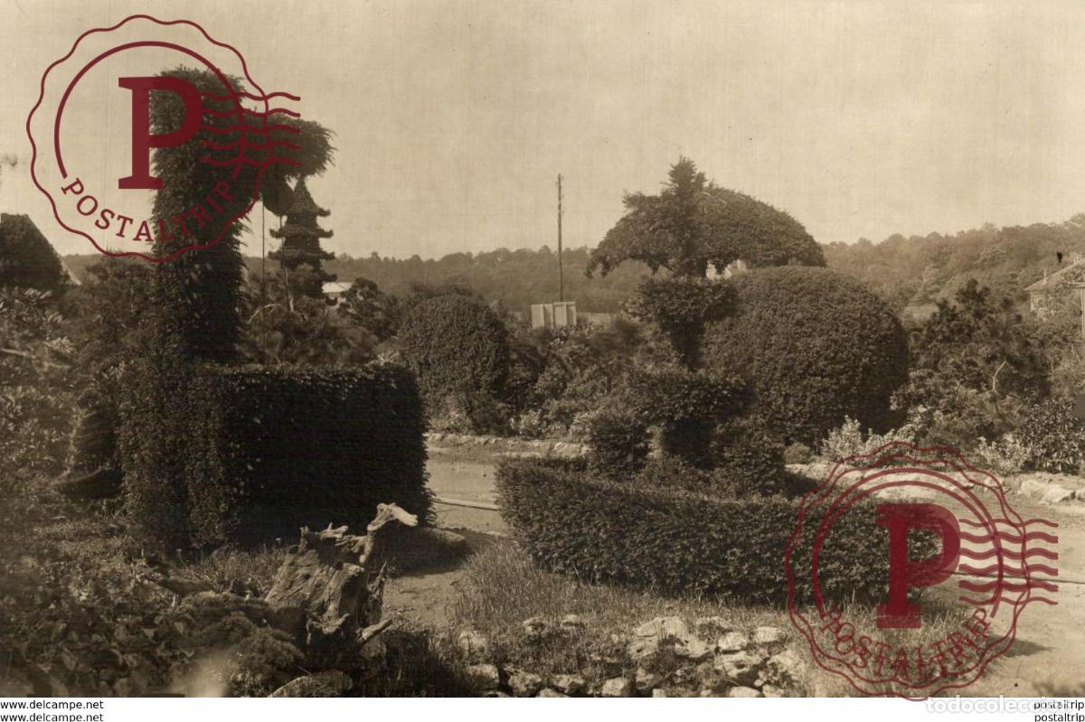 Fotograf&iacute;a antigua: GARDENS 16*11cm Bot&aacute;nica Botany Botanique Botanik Fonds Victor FORBIN 1864-1947