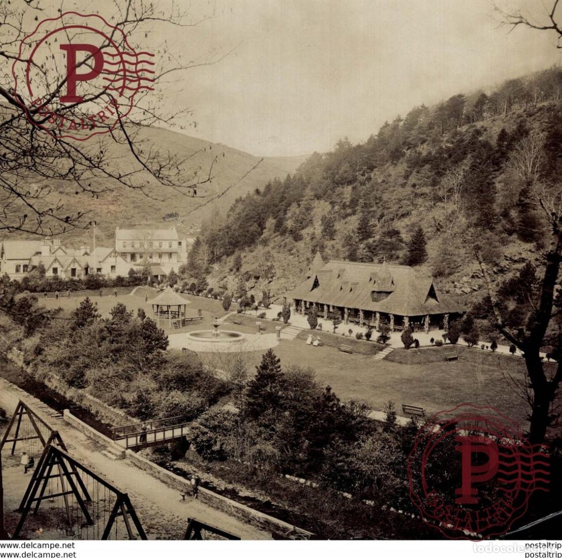 Fotograf&iacute;a antigua: PHOTO COWEN RAMSEY 16*16 cm Bot&aacute;nica Botany Botanique Botanik Fonds Victor FORBIN 1864-1947