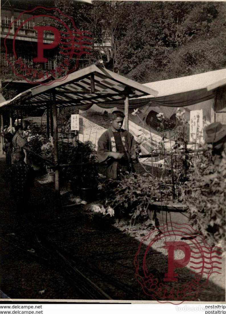 Fotograf&iacute;a antigua: GARDNER SHOW AT HIBIYA PARK JAPON JAPAN 15*11 cm Fonds Victor FORBIN 1864-1947