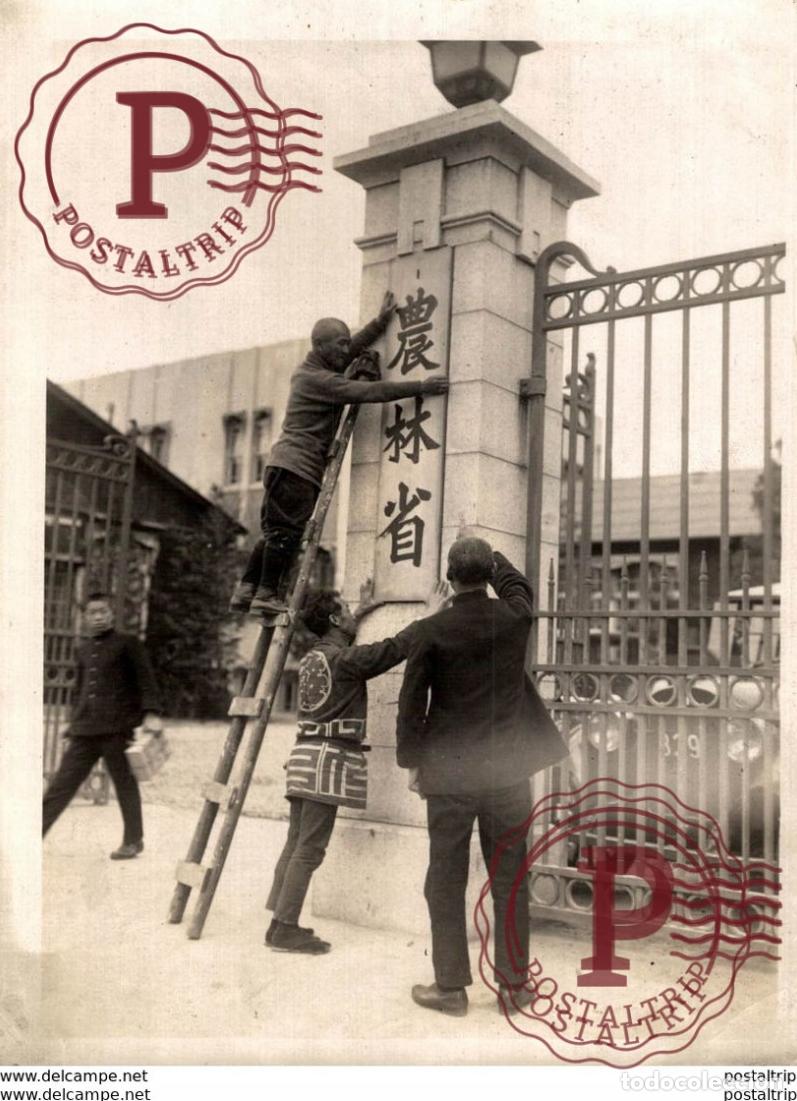 Fotograf&iacute;a antigua: ORIGINAL DEPARTMEN OF AGRICULTURE DIVIDED AGRICULTURE AND FORESTRY JAPON JAPAN 16*12 cm Fonds Victo
