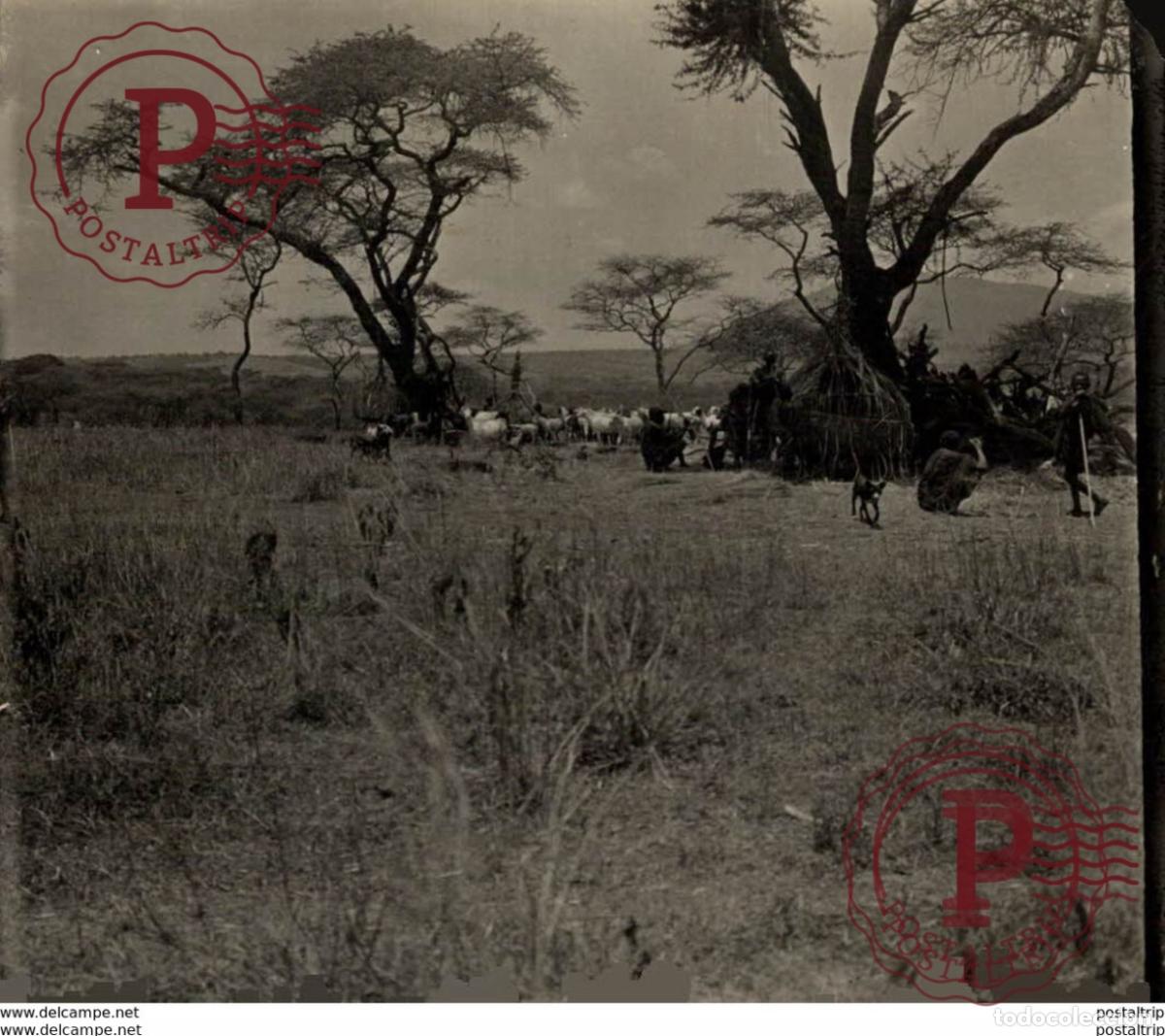 Fotograf&iacute;a antigua: AFRIQUE 9 *8 cm Fonds Victor FORBIN 1864-1947